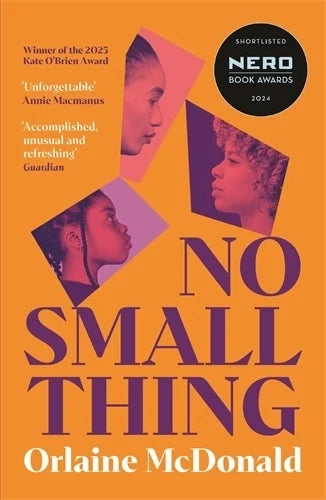 No small thing by Orlaine McDonald